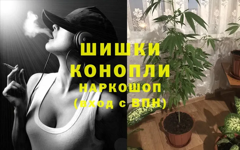 Канабис White Widow  где найти   Сергач 